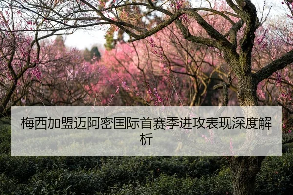 梅西加盟迈阿密国际首赛季进攻表现深度解析 | kaiyun